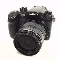 Panasonic Lumix DC-FZ82 1