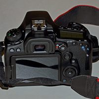 Canon EOS 90D Body (Уценка) 2